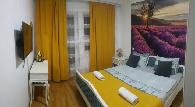 Апартаменты c 1 комнатой Petreski Apartments 1