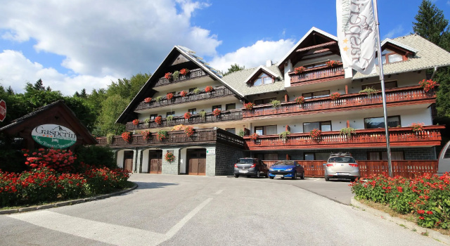 Люкс Standard Отель Gasperin Bohinj