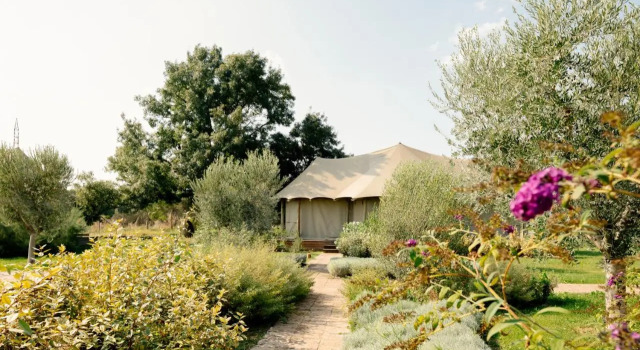 Terme di Vulci Glamping & Spa, Buchen Sie Campingplatz Canino Tuszien