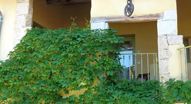 Номер Standard La Clé des Chants