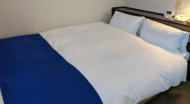 Двухместный номер Standard Ichinomiya City Hotel
