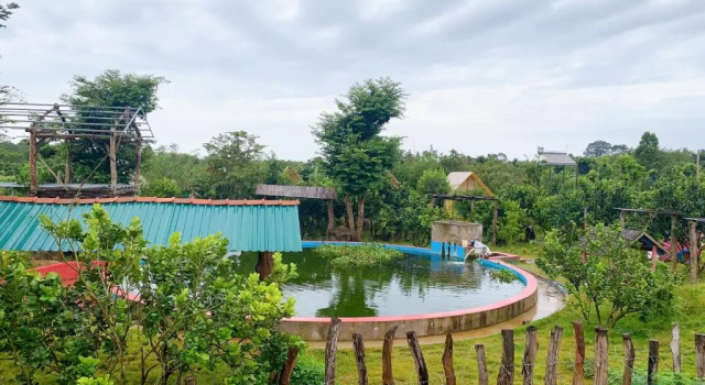 Семейный номер Standard с видом на озеро Rice straw Green lodge- resort