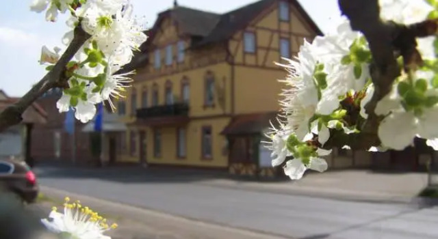 Номер Standard Hotel Gerber