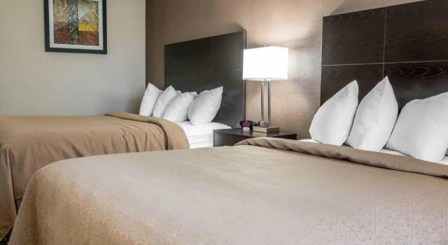 Номер Standard Quality Inn Grand Rapids South-Byron Center