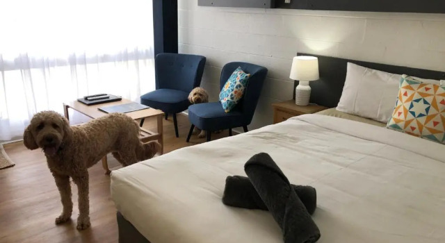 Двухместный номер Standard South Seas Motel