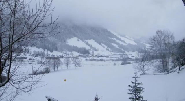 Апартаменты Hinterankerwald