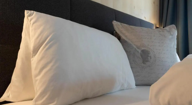 Двухместный номер Standard Wally Berg-Appartements