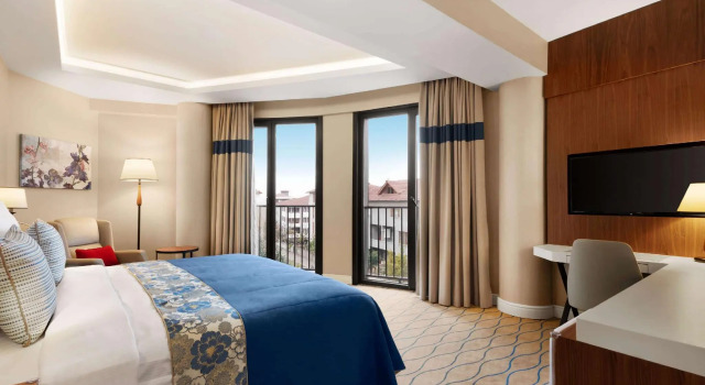 Двухместный номер Standard Ramada by Wyndham Sakarya Hendek