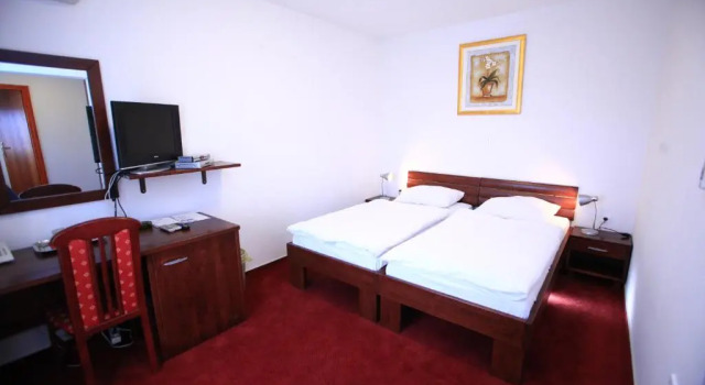 Двухместный номер Standard Hotel Orion