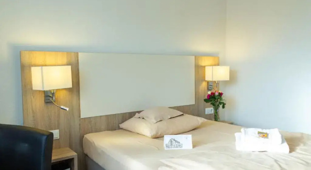 Номер Standard Hotel Kelkheimer Hof