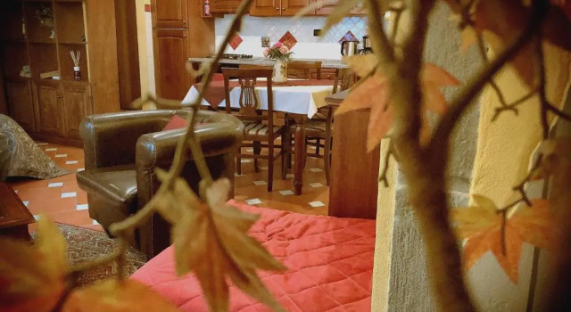Студия Cozy Apartment In Central Position