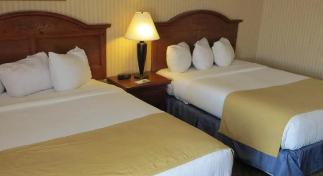 Четырёхместный номер Standard Kalamazoo Hotel