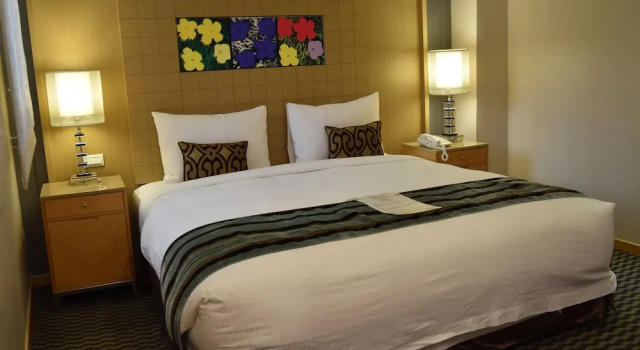 Люкс Tokyo International Hotel