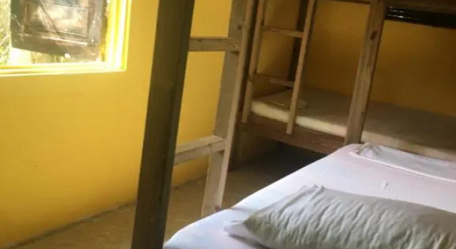 Кровать в общем номере Twin Fin Hostels
