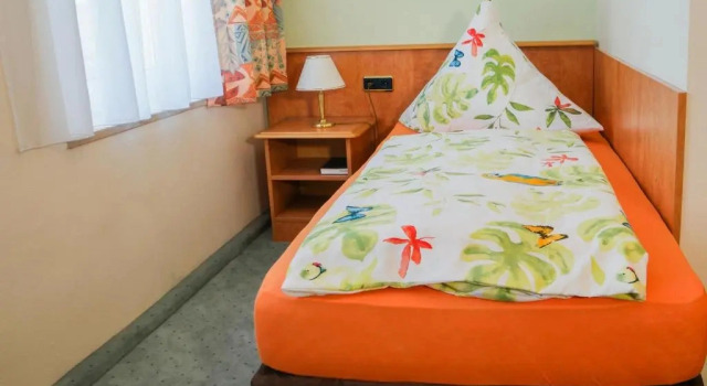 Standard simple chambre Hotel Zur Sonne