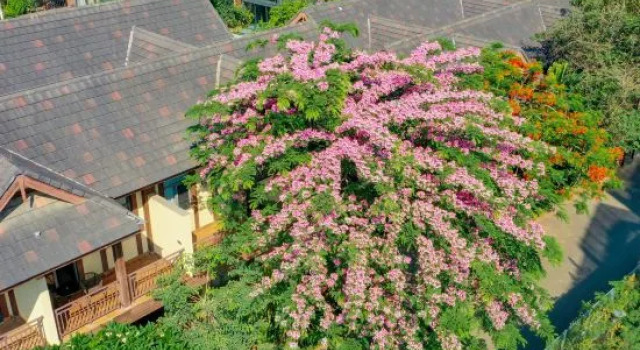 Xishuangbanna Jinghong Qianxunye Villa is a privatesingle-family villa.