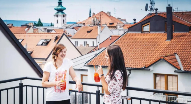 Апартаменты Дуплекс c 1 комнатой Residence U Černé Věže České Budějovice