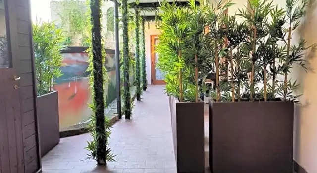 Двухместный номер Standard Цокольный этаж Hotel Meridiana