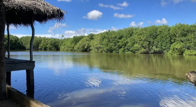 Coconut Island