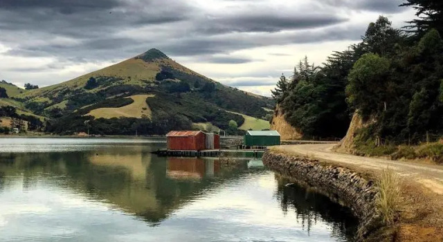 Otago Peninsula Paradise