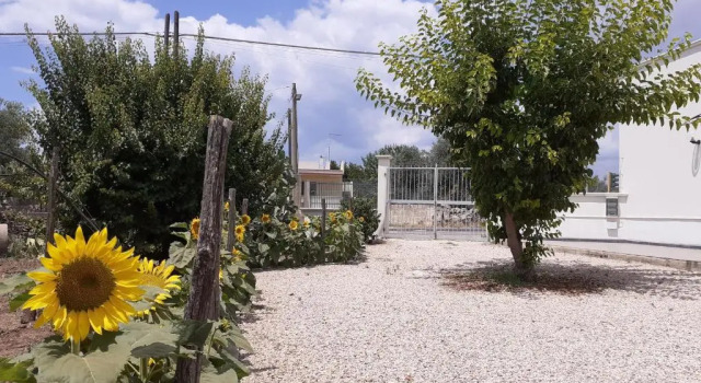 Apartament 1 dormitor da Francesco
