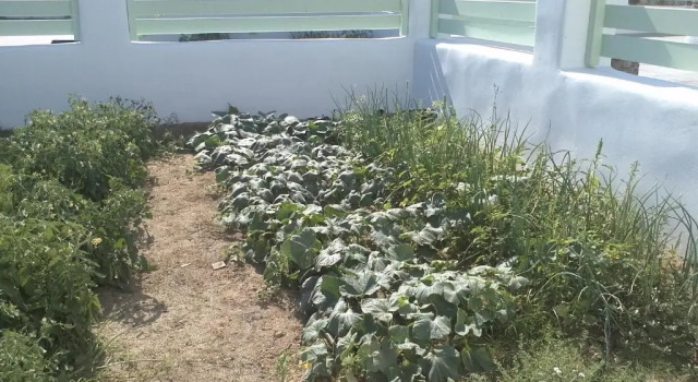 Вилла Superior My Villa Naxos