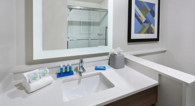 Двухместный люкс c 1 комнатой Holiday Inn Express & Suites Bryan - College Station by IHG