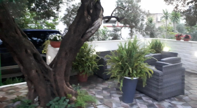 Apartments Ella, Rezerwuj Apartament Hotele w Split-Dalmatia County z parkingiem, Parking
