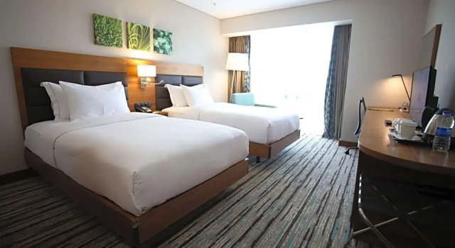 Двухместный номер с видом на город Hilton Garden Inn Ankara Gimat
