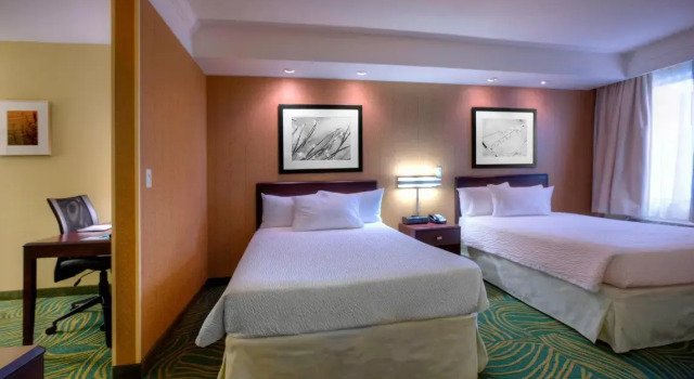 Четырёхместная студия SpringHill Suites by Marriott - Tampa Brandon
