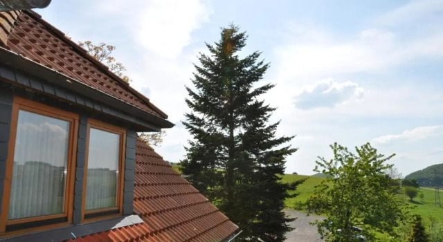 Номер Classic Rhön-Hotel Sonnenhof