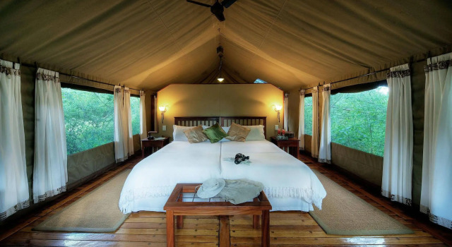 Royal Tree Lodge, Rezerwuj Hotel Maun Ngamiland East