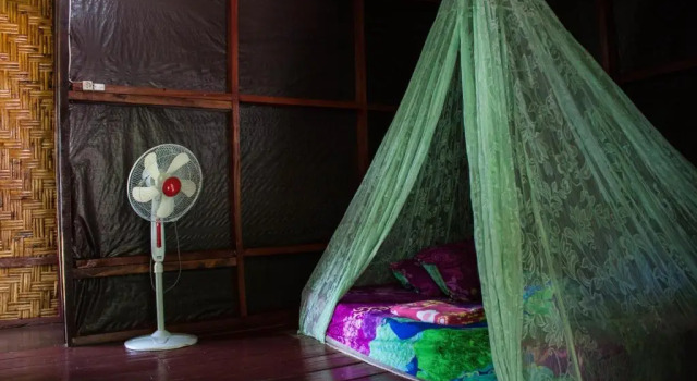 Номер Economy Rain Forest Guest House and Jungle Trekking