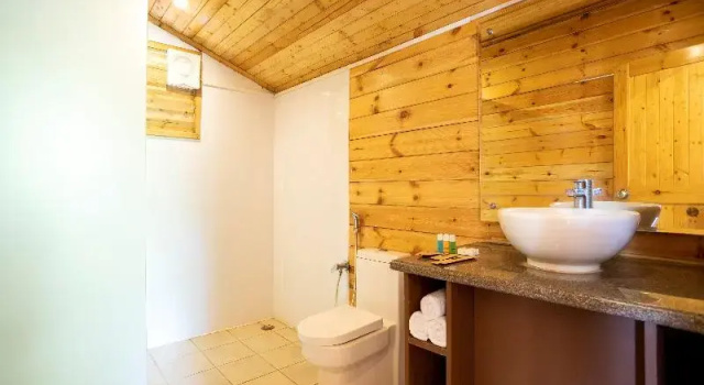 Семейный номер Standard с балконом Stone Wood Riverfront Resort, Siolim