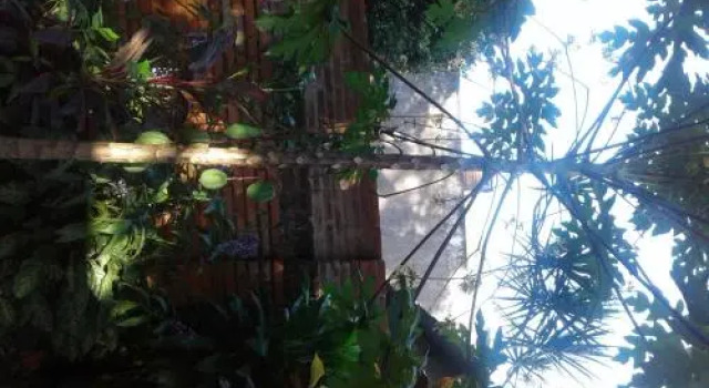 La Casa de Pedro Hostel, Book Hostel Hotels in Itapua with Parking, Parking