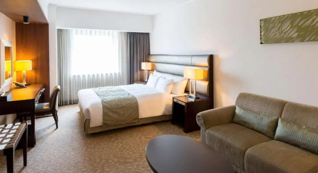 Двухместный номер Superior Ibis Styles Sapporo
