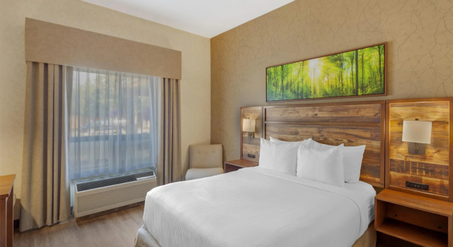 Двухместный номер Standard Best Western Plus Valemount Inn & Suites