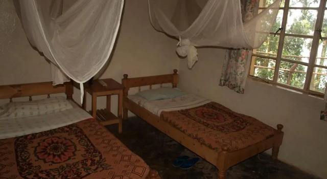 Bushara Island Camp