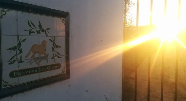 Hacienda Dos Olivos, Book Hotel Aznalcazar Huelva
