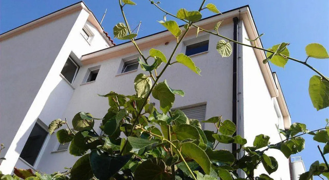 Apartment Meje
