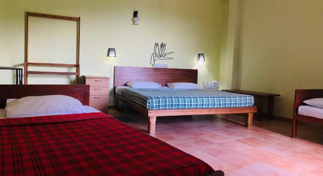 Семейный номер Standard Nature Walk Resort