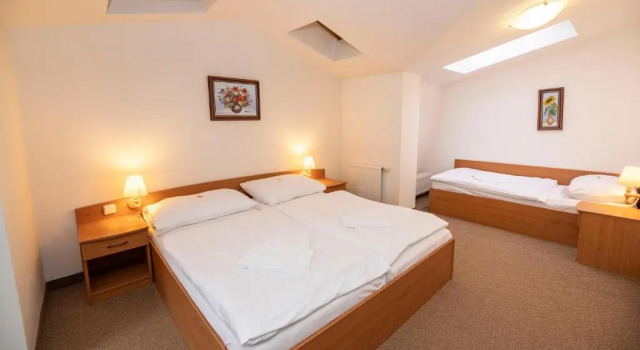Трёхместный номер Standard Hotel Paris