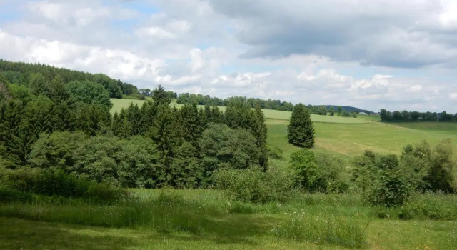 Haus am Wald, Забронировать Апартаменты/квартира Лиссендорф Vulkan Eifel
