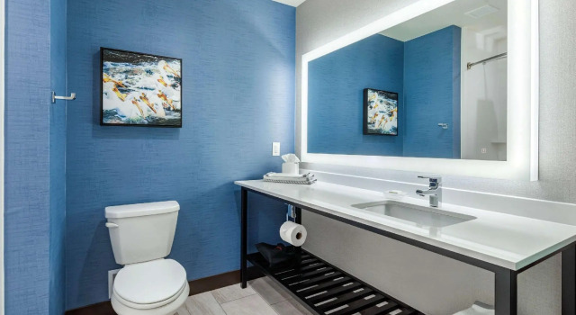 Четырёхместный номер Standard Holiday Inn Express Bettendorf - Davenport NE by IHG
