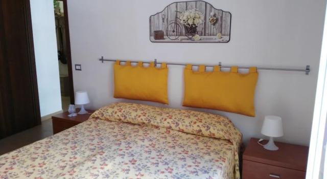 B&B Palmintelli