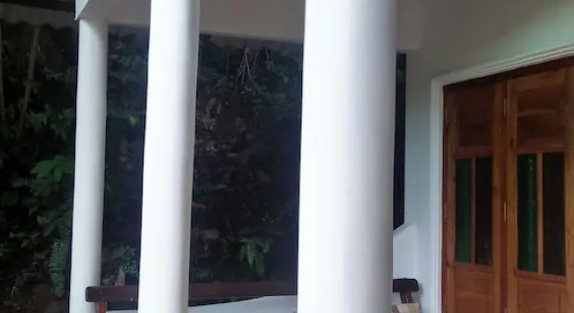 Номер Economy Jungle house