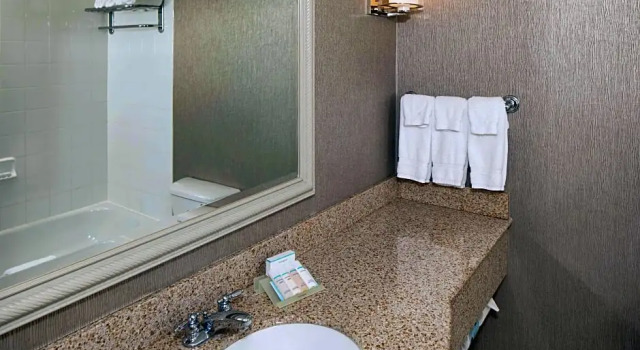 Двухместный полулюкс с видом на реку Hilton Garden Inn Auburn Riverwatch