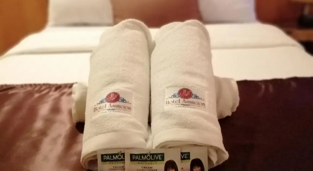 Полулюкс Hotel Asuncion