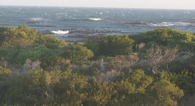 Коттедж Sea front Rocky Pools