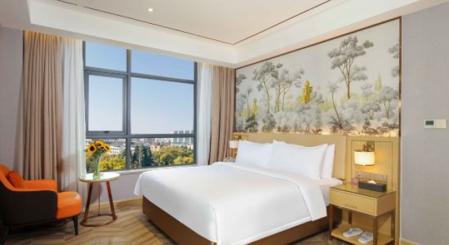 Семейный люкс Vienna Hotel (Chongzuo Vientiane Jun Shop)
